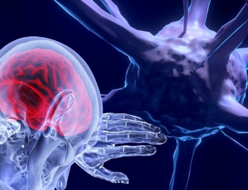 Neurociencia cognitiva